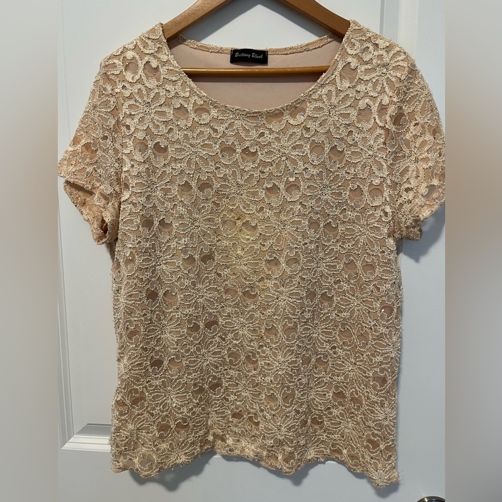 Short Sleeve Sparkle and Lace Top